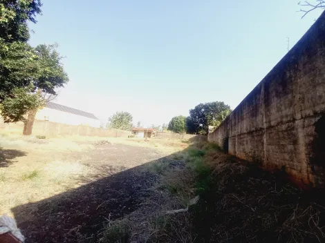 imagem 2 - Terreno de 1.500m² para locação e venda - City Ribeirão imagem 2 - Terreno de 1.500m² para locação e venda - City Ribeirão