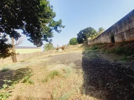 imagem 3 - Terreno de 1.500m² para locação e venda - City Ribeirão imagem 3 - Terreno de 1.500m² para locação e venda - City Ribeirão