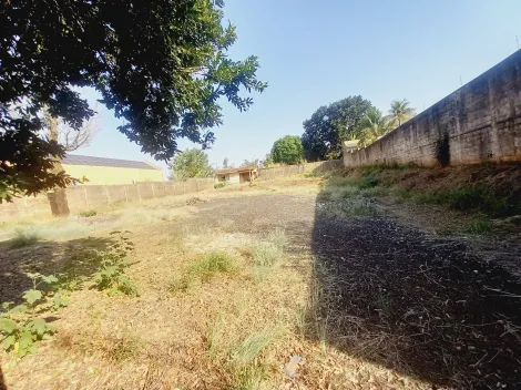 imagem 5 - Terreno de 1.500m² para locação e venda - City Ribeirão imagem 5 - Terreno de 1.500m² para locação e venda - City Ribeirão