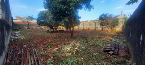 imagem 2 - Terreno de 385m² para venda e locação - Ribeirânia imagem 2 - Terreno de 385m² para venda e locação - Ribeirânia