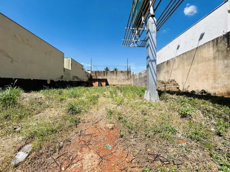 imagem 1 - Terreno de 451m² para locação - Alto da Boa Vista imagem 1 - Terreno de 451m² para locação - Alto da Boa Vista