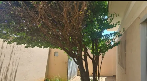 imagem 4 - Casa - Padrão imagem 4 - Casa - Padrão