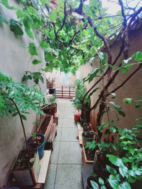 imagem 4 - Casa - Padrão imagem 4 - Casa - Padrão