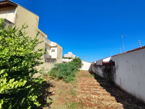 imagem 1 - Terreno de 300m² à venda - Jardim Califórnia imagem 1 - Terreno de 300m² à venda - Jardim Califórnia
