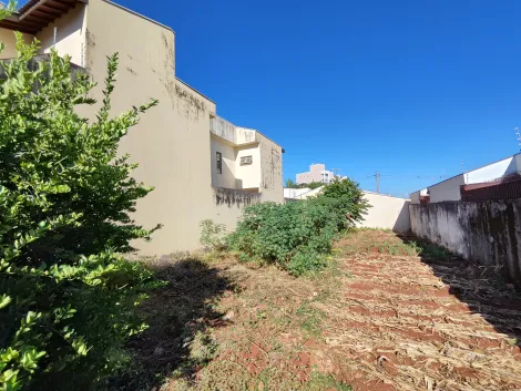 imagem 2 - Terreno de 300m² à venda - Jardim Califórnia imagem 2 - Terreno de 300m² à venda - Jardim Califórnia