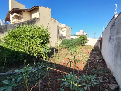 imagem 3 - Terreno de 300m² à venda - Jardim Califórnia imagem 3 - Terreno de 300m² à venda - Jardim Califórnia