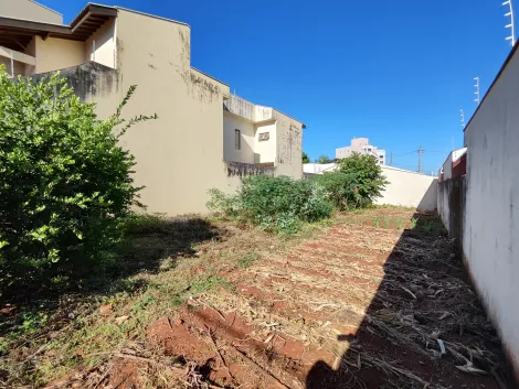imagem 4 - Terreno de 300m² à venda - Jardim Califórnia imagem 4 - Terreno de 300m² à venda - Jardim Califórnia