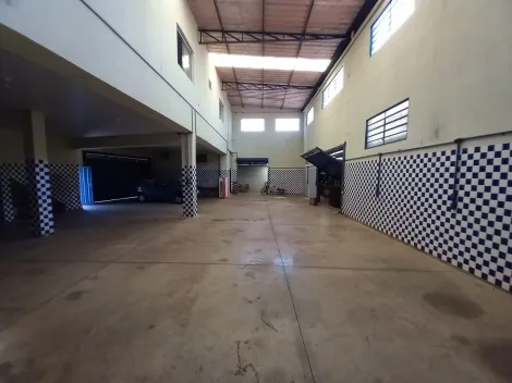 imagem 5 - Comercial padrão - Loja imagem 5 - Comercial padrão - Loja