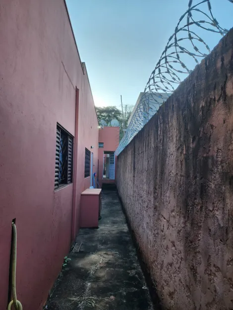 imagem 2 - EXCELENTE CHÁCARA PARA VENDA EM JARDINÓPOLIS imagem 2 - EXCELENTE CHÁCARA PARA VENDA EM JARDINÓPOLIS