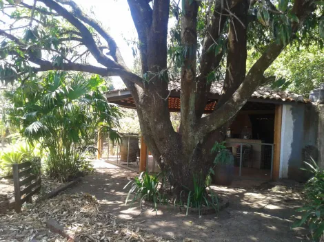 Comprar Casas / Chácara/Rancho em Ribeirão Preto R$ 500.000,00 - Foto 4
