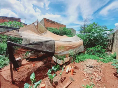 imagem 1 - TERRENO NA VILA VIRGÍNIA imagem 1 - TERRENO NA VILA VIRGÍNIA