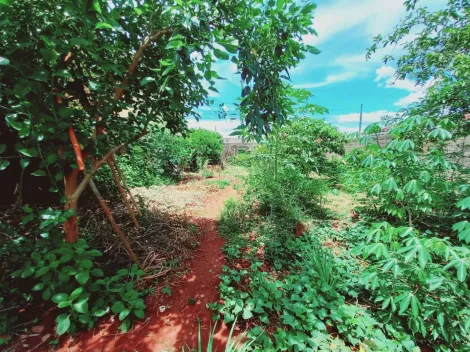 imagem 3 - TERRENO NA VILA VIRGÍNIA imagem 3 - TERRENO NA VILA VIRGÍNIA