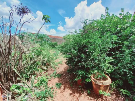 imagem 5 - TERRENO NA VILA VIRGÍNIA imagem 5 - TERRENO NA VILA VIRGÍNIA
