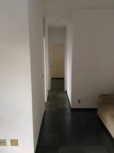 imagem 5 - LINDO APARTAMENTO NO JARDIM PALMA TRAVASSOS imagem 5 - LINDO APARTAMENTO NO JARDIM PALMA TRAVASSOS