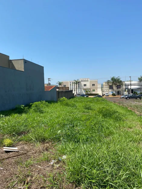 imagem 1 - TERRENO AMPLO PRONTO PARA CONSTRUIR imagem 1 - TERRENO AMPLO PRONTO PARA CONSTRUIR