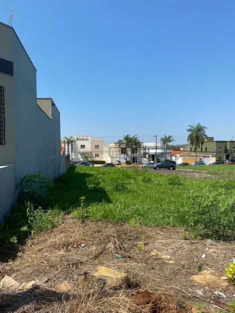 imagem 2 - TERRENO AMPLO PRONTO PARA CONSTRUIR imagem 2 - TERRENO AMPLO PRONTO PARA CONSTRUIR