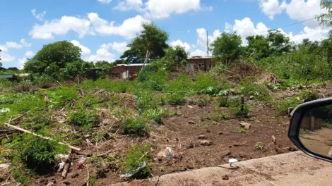 Terrenos / Padrão em Ribeirão Preto 