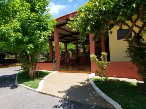 Alugar Casas / Chácara/Rancho em Ribeirão Preto R$ 4.000,00 - Foto 11