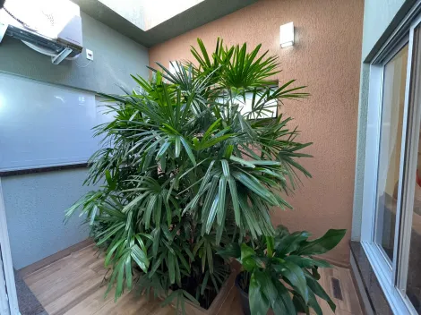 imagem 5 - Casa com 279,50m² no Jardim Recreio dos Bandeirantes - Sertãozinho SP imagem 5 - Casa com 279,50m² no Jardim Recreio dos Bandeirantes - Sertãozinho SP