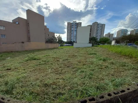 imagem 2 - Terreno de 1.007m² à venda - Jardim Nova Aliança Sul imagem 2 - Terreno de 1.007m² à venda - Jardim Nova Aliança Sul