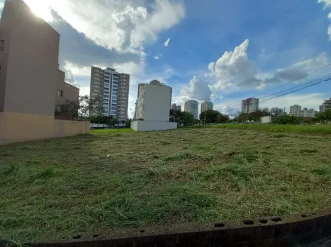 imagem 3 - Terreno de 1.007m² à venda - Jardim Nova Aliança Sul imagem 3 - Terreno de 1.007m² à venda - Jardim Nova Aliança Sul