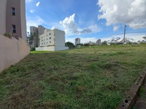 imagem 5 - Terreno de 1.007m² à venda - Jardim Nova Aliança Sul imagem 5 - Terreno de 1.007m² à venda - Jardim Nova Aliança Sul