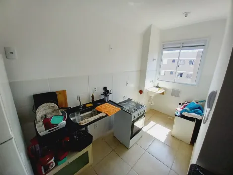 Alugar Apartamentos / Padrão em Bonfim Paulista R$ 850,00 - Foto 9