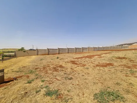 imagem 3 - Terreno de 280m² à venda em condomínio - Quinta da Mata imagem 3 - Terreno de 280m² à venda em condomínio - Quinta da Mata