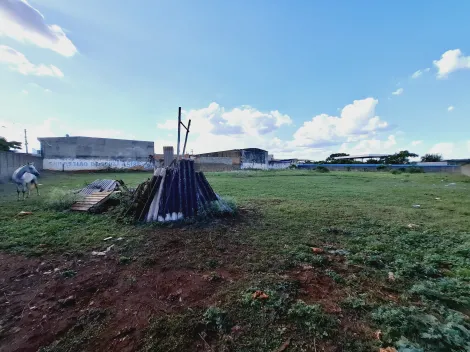 imagem 2 - Terreno de 4.320m² para locação e venda - Jardim Salgado Filho imagem 2 - Terreno de 4.320m² para locação e venda - Jardim Salgado Filho
