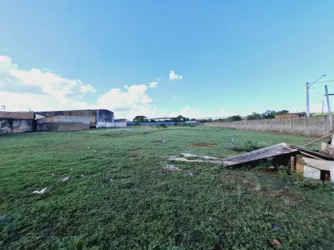 imagem 4 - Terreno de 4.320m² para locação e venda - Jardim Salgado Filho imagem 4 - Terreno de 4.320m² para locação e venda - Jardim Salgado Filho