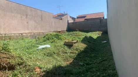 imagem 4 - TERRENO EM BONFIM PAULISTA imagem 4 - TERRENO EM BONFIM PAULISTA