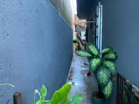 imagem 4 - Casa - Padrão imagem 4 - Casa - Padrão