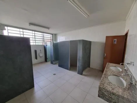 imagem 5 - IMÓVEL COMERCIAL NA LAGOINHA imagem 5 - IMÓVEL COMERCIAL NA LAGOINHA
