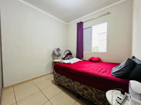 imagem 4 - APARTAMENTO NO RIBEIRÃO VERDE imagem 4 - APARTAMENTO NO RIBEIRÃO VERDE