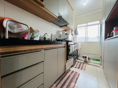 imagem 3 - APARTAMENTO NO RIBEIRÃO VERDE imagem 3 - APARTAMENTO NO RIBEIRÃO VERDE