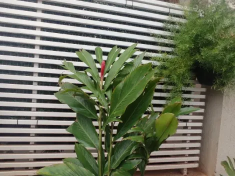 imagem 4 - Apartamento - Padrão imagem 4 - Apartamento - Padrão