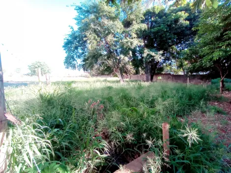imagem 1 - Terreno - Padrão imagem 1 - Terreno - Padrão