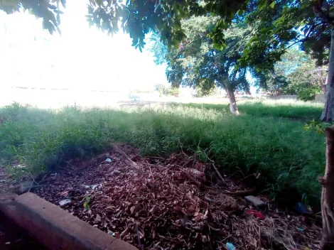 imagem 3 - Terreno - Padrão imagem 3 - Terreno - Padrão