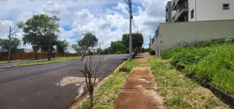 Comprar Terrenos / Padrão em Ribeirão Preto R$ 400.000,00 - Foto 6