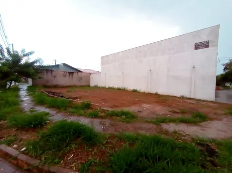 imagem 1 - TERRENO NO LOTEAMENTO ANGELO JURCA imagem 1 - TERRENO NO LOTEAMENTO ANGELO JURCA