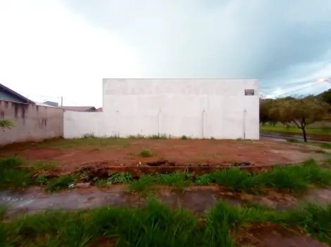 Alugar Terrenos / Padrão em Ribeirão Preto R$ 1.000,00 - Foto 2
