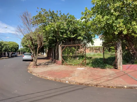 imagem 2 - TERRENO DE ESQUINA NA AV. MINESIO MELONI imagem 2 - TERRENO DE ESQUINA NA AV. MINESIO MELONI