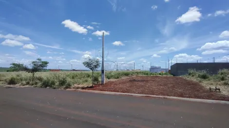 imagem 1 - TERRENO À VENDA NA CIDADE DE CRAVINHOS imagem 1 - TERRENO À VENDA NA CIDADE DE CRAVINHOS