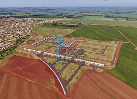 imagem 2 - TERRENO À VENDA NA CIDADE DE CRAVINHOS imagem 2 - TERRENO À VENDA NA CIDADE DE CRAVINHOS