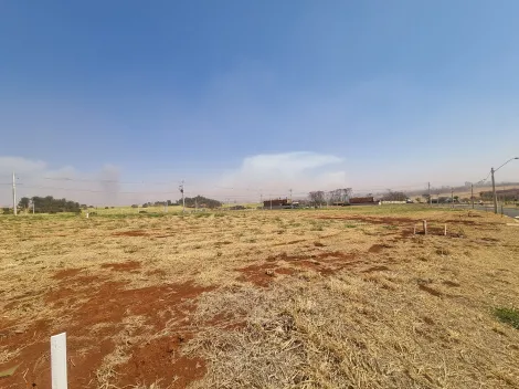 imagem 3 - Terreno de 338m² à venda em condomínio - Alto do Castelo imagem 3 - Terreno de 338m² à venda em condomínio - Alto do Castelo