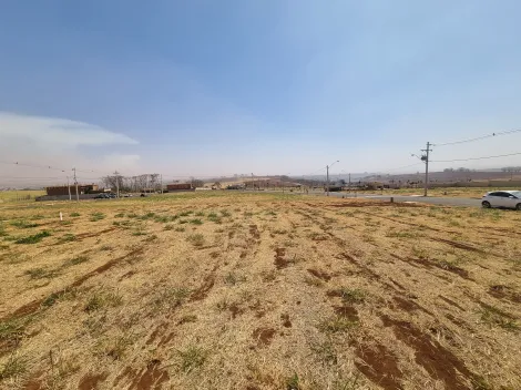imagem 4 - Terreno de 338m² à venda em condomínio - Alto do Castelo imagem 4 - Terreno de 338m² à venda em condomínio - Alto do Castelo