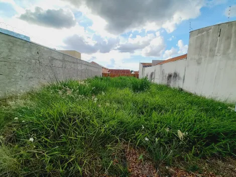 Terrenos / Padrão em Ribeirão Preto , Comprar por R$230.000,00