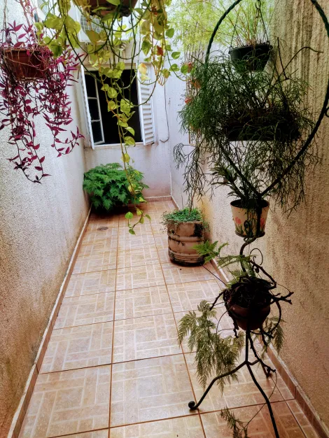 imagem 3 - CASA TÉRREA NO BAIRRO JARDIM AMÉRICA imagem 3 - CASA TÉRREA NO BAIRRO JARDIM AMÉRICA