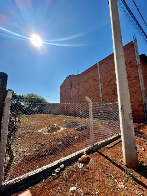imagem 3 - Terreno de 450 m² com portão - Vila Elisa imagem 3 - Terreno de 450 m² com portão - Vila Elisa