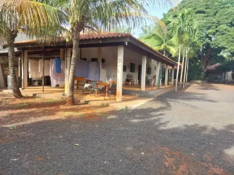 Casas / Chácara / Rancho em Ribeirão Preto 